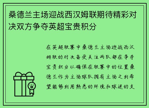 桑德兰主场迎战西汉姆联期待精彩对决双方争夺英超宝贵积分